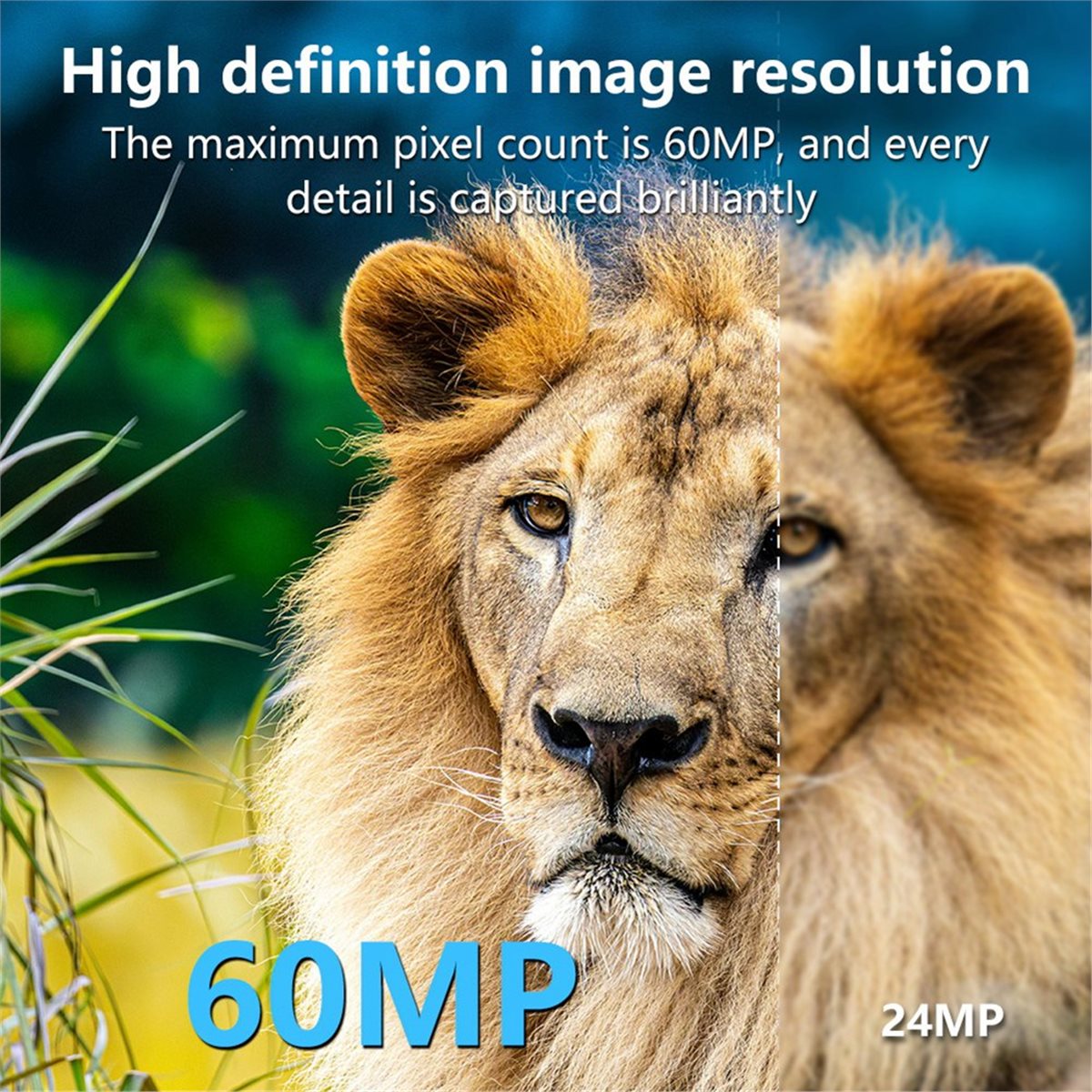 AS62 8K Hunting Camera HD Wild - Hunting Outdoor Rug review and price