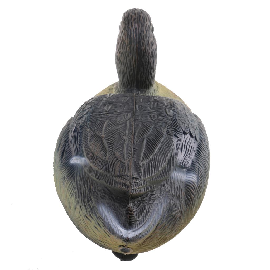 Durable Plastic Duck Decoy Hun - Decoy Duck Plastic review and price