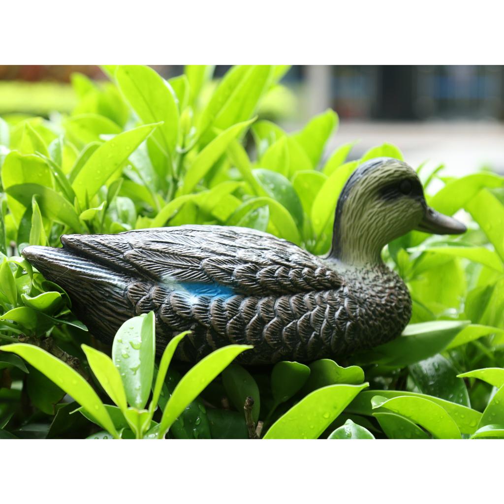 Lifesize Plastic Mandarin Duck - Decoy Duck Plastic review and price