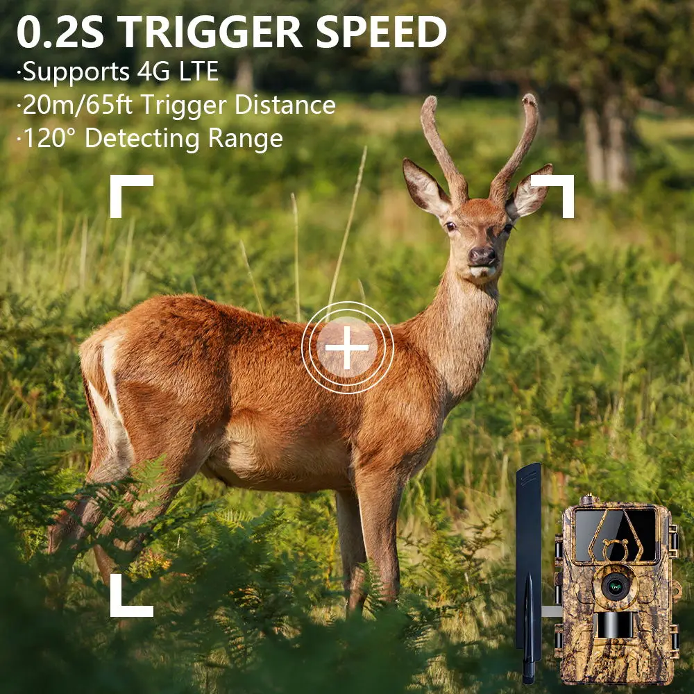 Pr801 4G Network Observation H - Outdoor Hunting House review and price