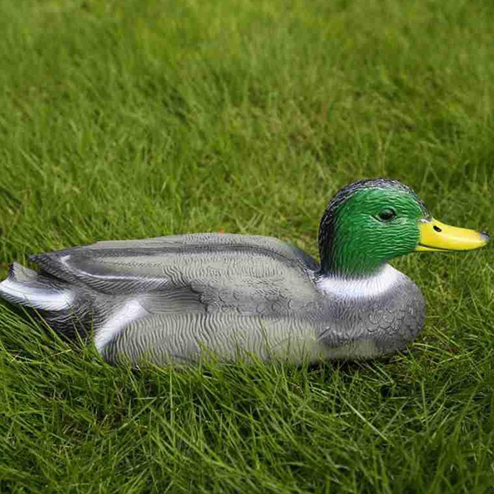 Outdoor Realistic Plastic Duck - Decoy Duck Plastic review and price