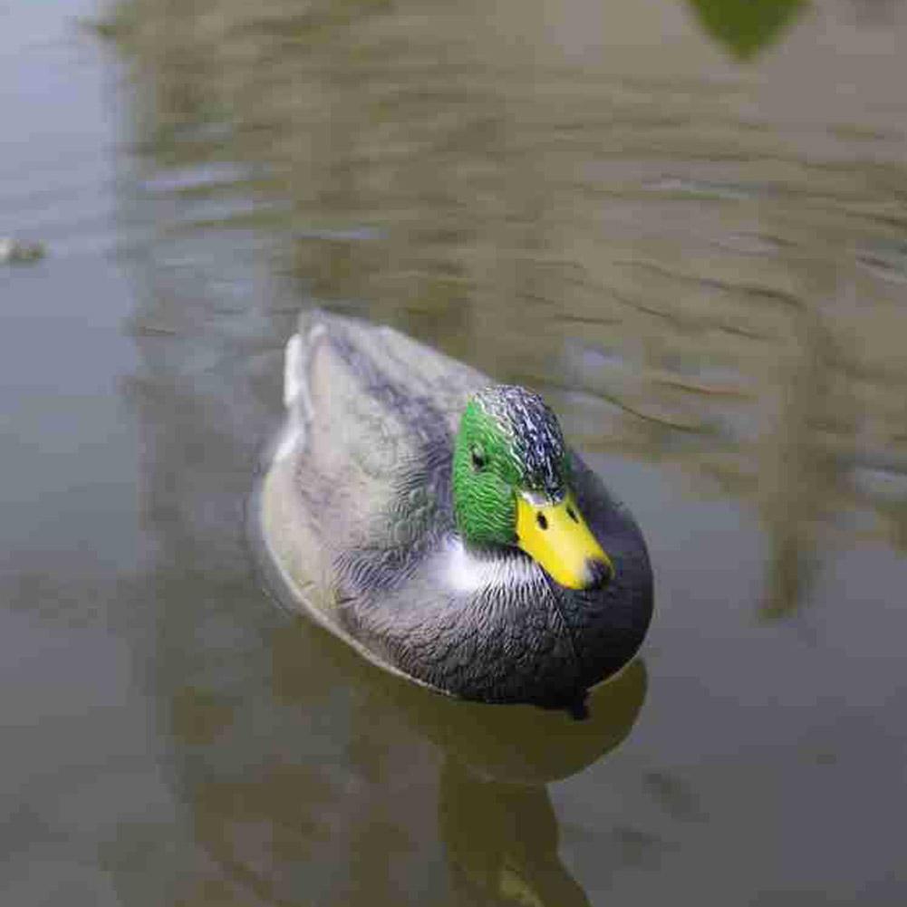Outdoor Realistic Plastic Duck - Decoy Duck Plastic review and price
