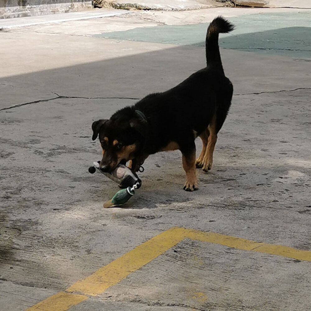 Simulation Mallard Duck Decoy  - Decoy Duck Plastic review and price