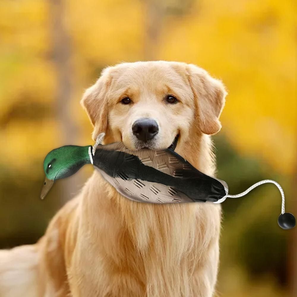 Simulation Mallard Duck Decoy  - Decoy Duck Plastic review and price