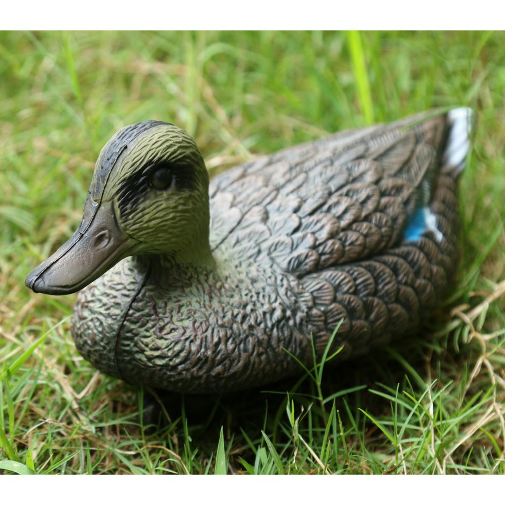 Fake Bird Hunting Decoy Lifeli - Decoy Duck Plastic review and price