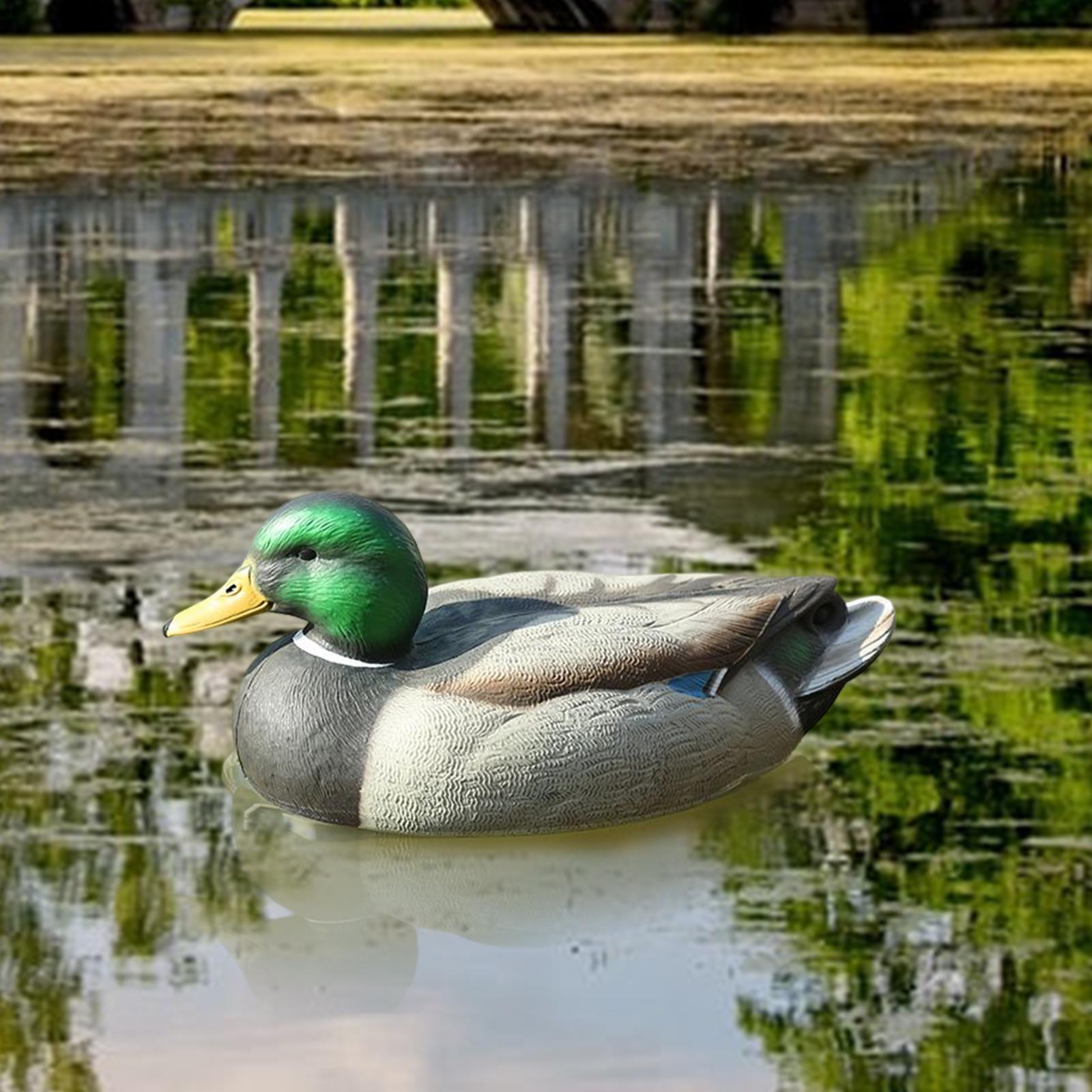 Anatomically Perfect Plastic D - Decoy Duck Plastic review and price