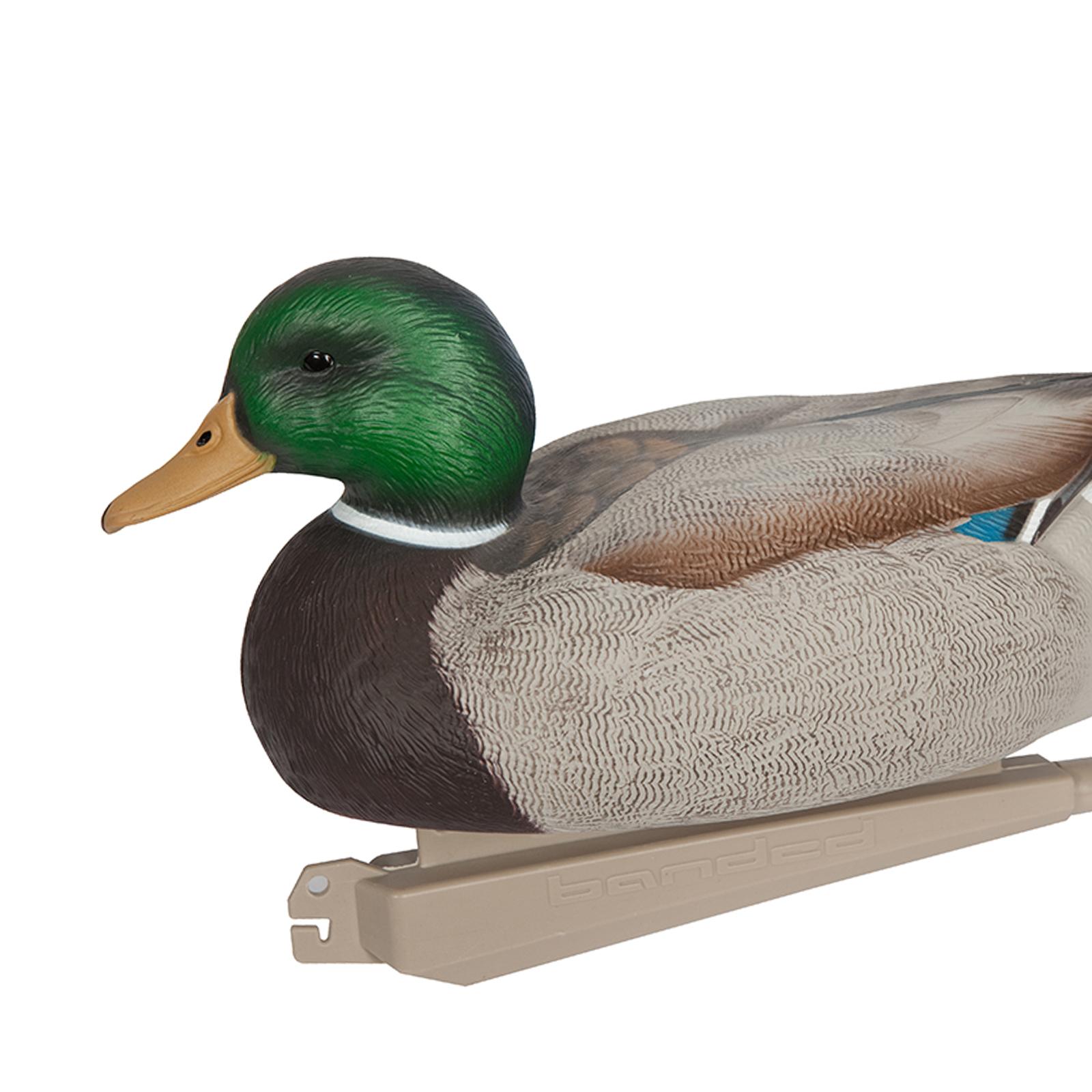 Anatomically Perfect Plastic D - Decoy Duck Plastic review and price