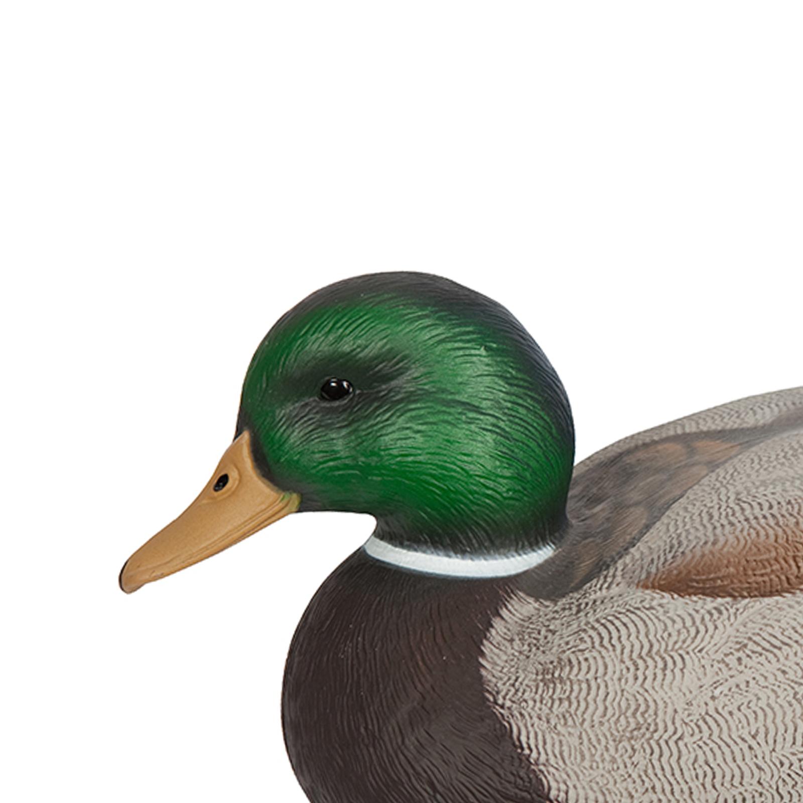 Anatomically Perfect Plastic D - Decoy Duck Plastic review and price