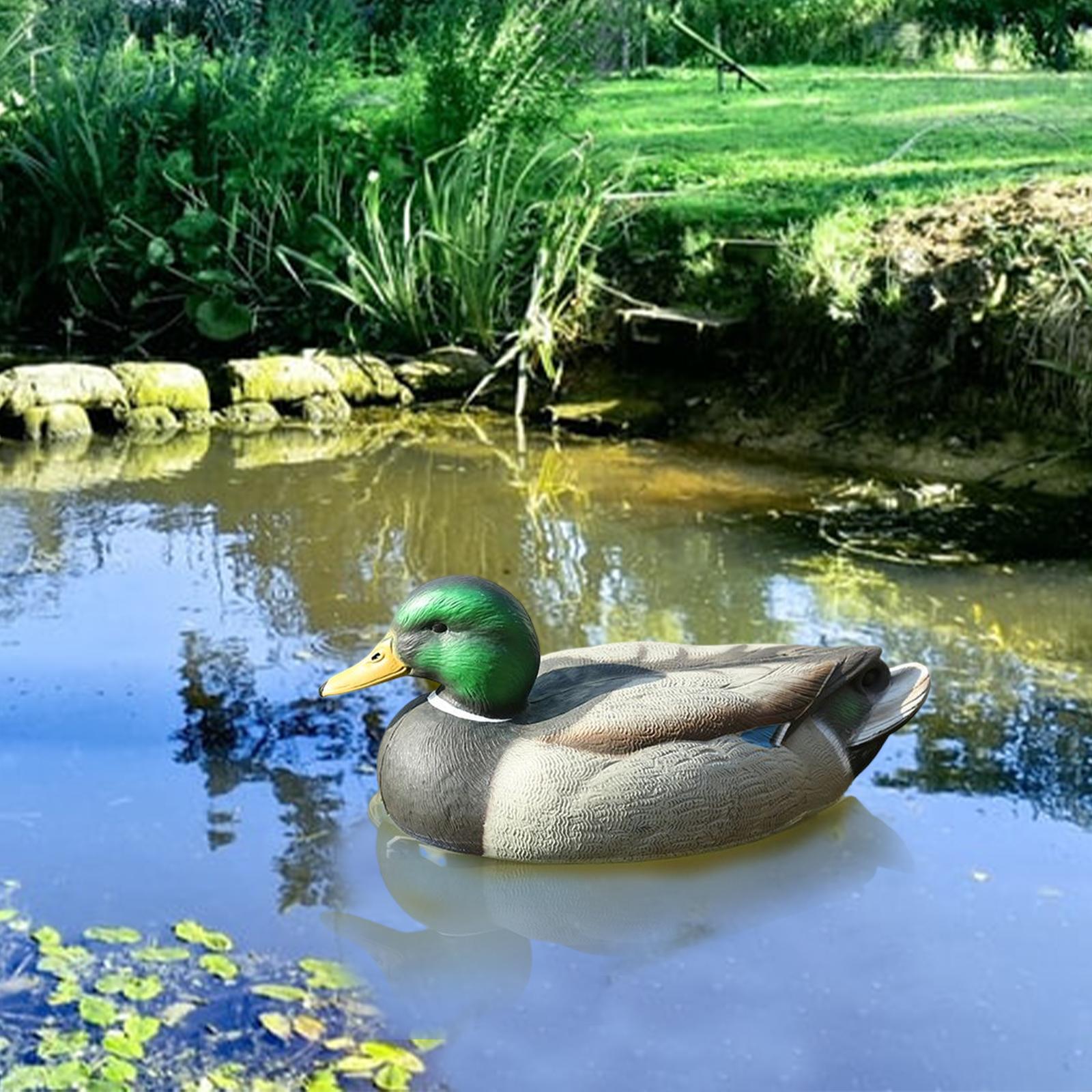 Anatomically Perfect Plastic D - Decoy Duck Plastic review and price