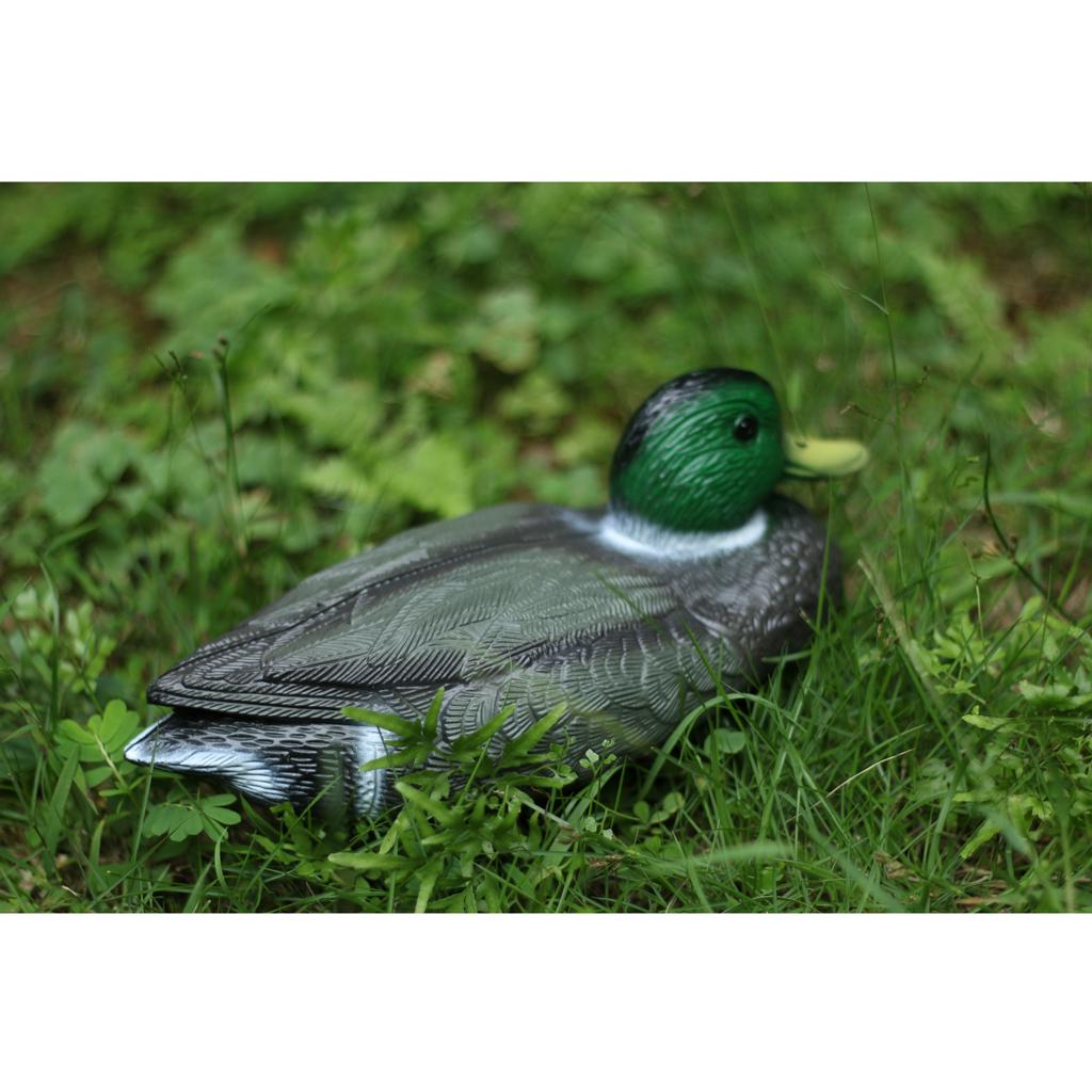 Lifelike Plastic Duck Decoy Ga - Decoy Duck Plastic review and price
