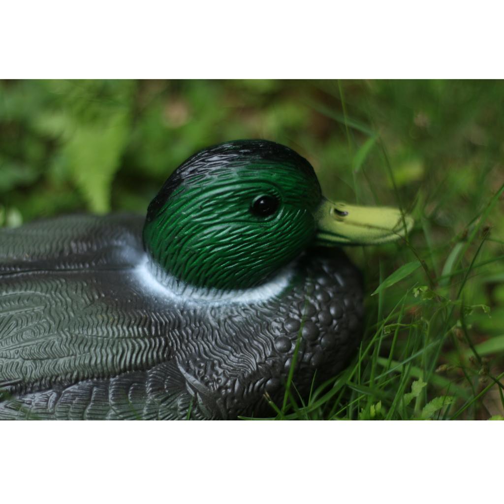 Lifelike Plastic Duck Decoy Ga - Decoy Duck Plastic review and price