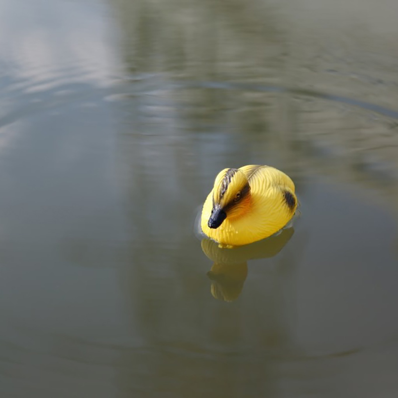 Floating Duck Ducklings Pond S - Decoy Duck Plastic review and price