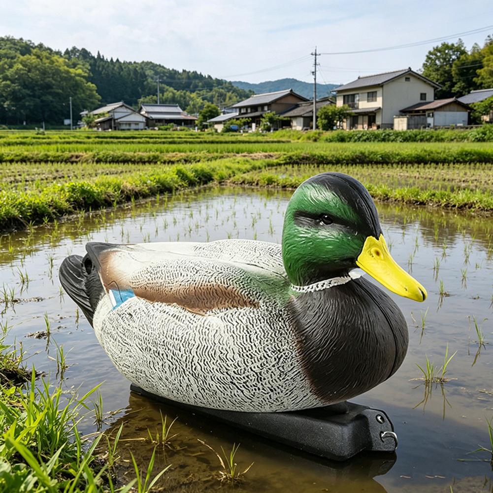 Floating Duck Decoy 3D Realist - Decoy Duck Plastic review and price